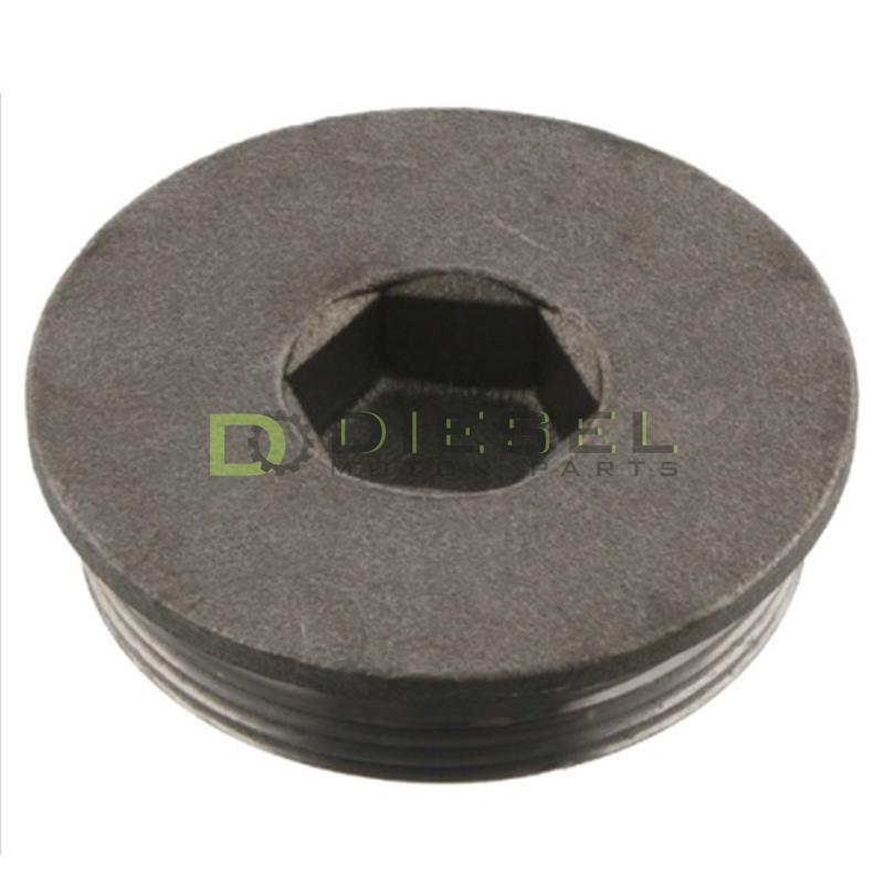 Crankcase Screw Plug